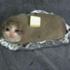 crispybread
